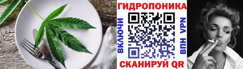 Canna-Cookies конопля  Пересвет 