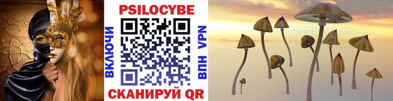 Галлюциногенные грибы Cubensis  Пересвет 